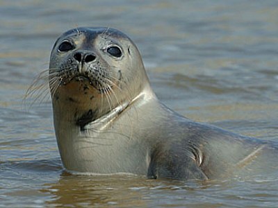 Holiday house Marjan - Environment photo 11