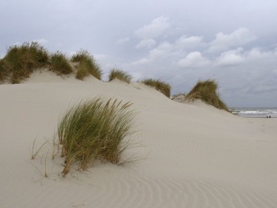 Holiday house Marjan - Environment photo 13