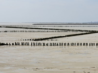 Holiday house Marjan - Environment photo 15