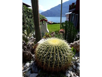 Villa Madriana - Outdoor photo 6