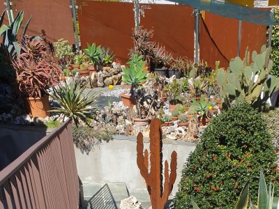 Villa Madriana - Outdoor photo 11