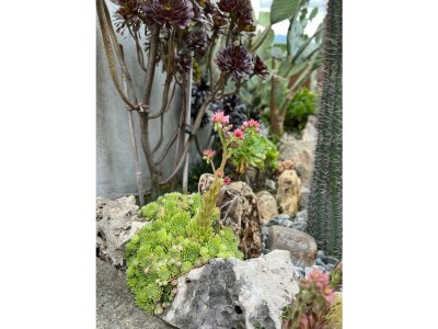 Villa Madriana - Outdoor photo 17