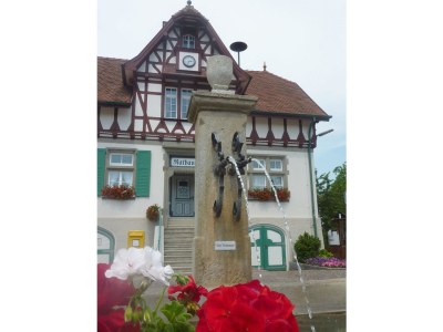 Holiday apartment house Karler - Moos Lake Constance - Environment photo 10