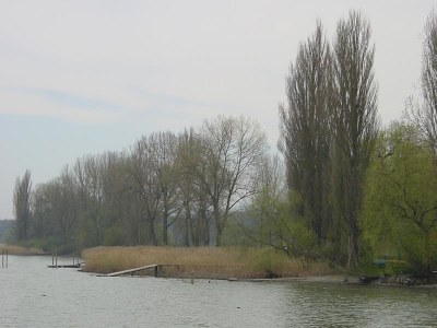 Holiday apartment house Karler - Moos Lake Constance - Environment photo 11