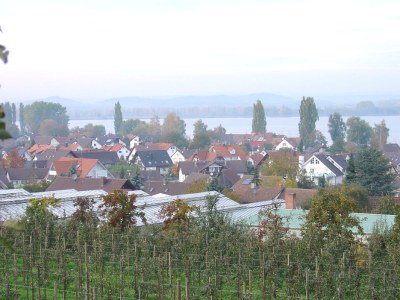 Holiday apartment house Karler - Moos Lake Constance - Environment photo 13