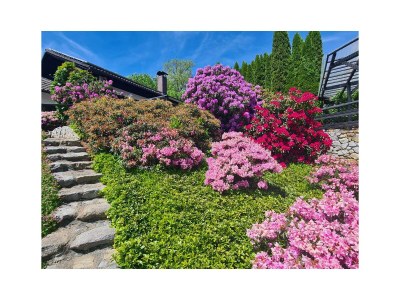 Holiday house Zandt Nr. 2 - Outdoor photo 9