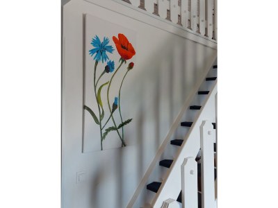 Holiday house Zandt Nr. 2 - Features photo 25