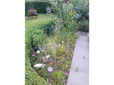 Holiday apartment Undine Niebuhr - Outdoor photo 10