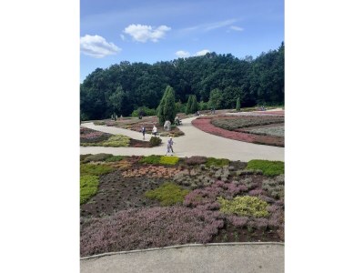 Holiday apartment Undine Niebuhr - Environment photo 31