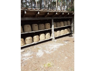 Holiday apartment Undine Niebuhr - Environment photo 32