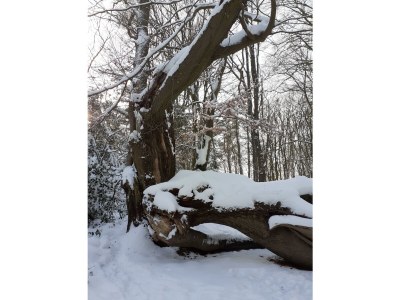 Holiday apartment Undine Niebuhr - Environment photo 35