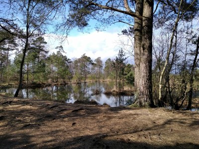 Holiday apartment Undine Niebuhr - Environment photo 38