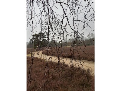 Holiday apartment Undine Niebuhr - Environment photo 40