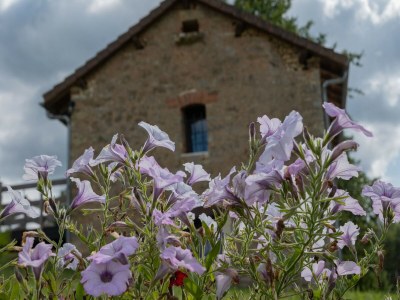 Holiday house Storehouse with pool near Monpazier - Outdoor photo 41