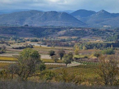 Holiday house Charming Villa in Saint-Geniès - Environment photo 21
