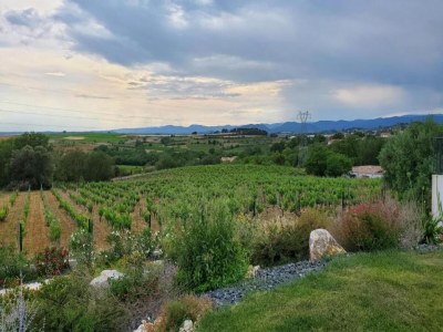 Holiday house Charming Villa in Saint-Geniès - Environment photo 22