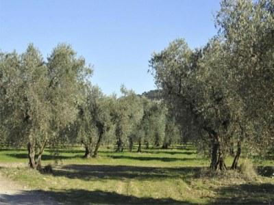 Holiday house Charming Villa in Saint-Geniès - Environment photo 28