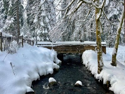 Chalet Chalet in La Bresse mit Talblick - Environment photo 34