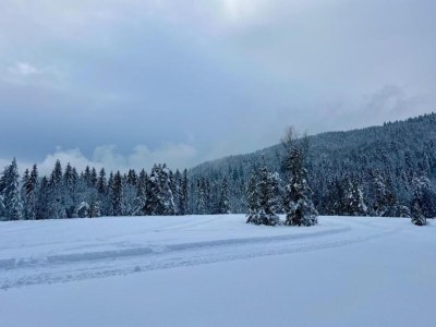 Chalet Chalet in La Bresse mit Talblick - Environment photo 35