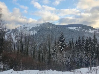 Chalet Chalet in La Bresse mit Talblick - Environment photo 36