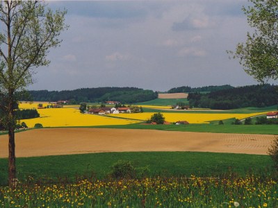 Holiday house Sonnenschein - Outdoor photo 15