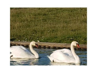 Holiday house Sonnenschein - Environment photo 32