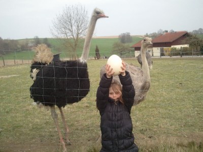 Holiday house Sonnenschein - Environment photo 35