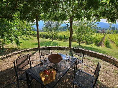 Farmhouse Bauernhaus in Umbertide mit Pool - Outdoor photo 4