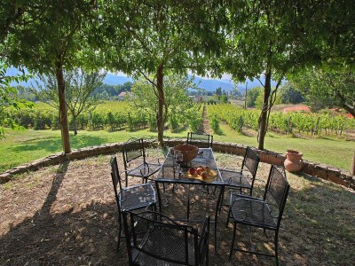 Farmhouse Bauernhaus in Umbertide mit Pool - Outdoor photo 33