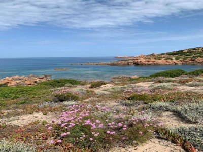 Holiday house Haus auf Sardinien in der Nähe von Spiaggia Li Canneddi - Environment photo 37