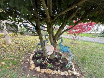 Holiday house Villa in Italy with Private Garden Retreat - Outdoor photo 10