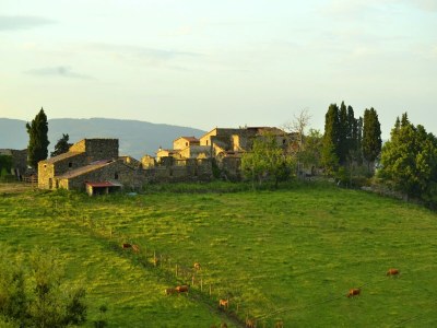 Holiday house Wohnung in Toskana mit herrlicher Aussicht - Outdoor photo 2