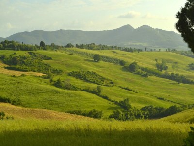 Holiday house Wohnung in Toskana mit herrlicher Aussicht - Environment photo 27