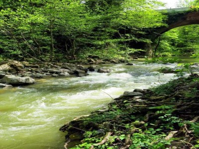 Holiday house Wohnung in Toskana mit herrlicher Aussicht - Environment photo 28