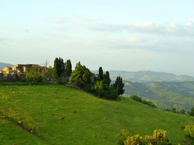 Holiday house Wohnung in Toskana mit herrlicher Aussicht - Environment photo 31