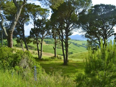 Holiday house Wohnung in Toskana mit herrlicher Aussicht - Environment photo 32