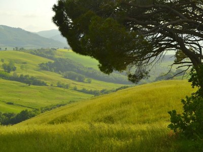 Holiday house Wohnung in Toskana mit herrlicher Aussicht - Environment photo 33