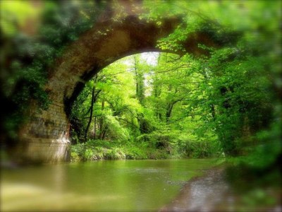 Holiday house Wohnung in Toskana mit herrlicher Aussicht - Environment photo 35