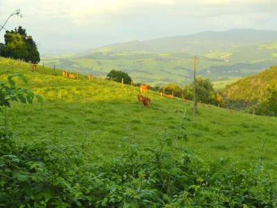 Holiday house Wohnung in Toskana mit herrlicher Aussicht - Outdoor photo 37