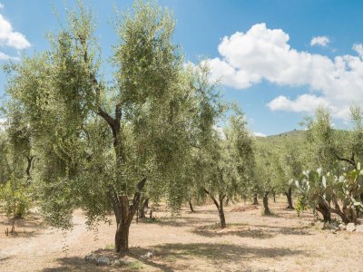 Apartment Wohnung im Gargano Park - Outdoor photo 7