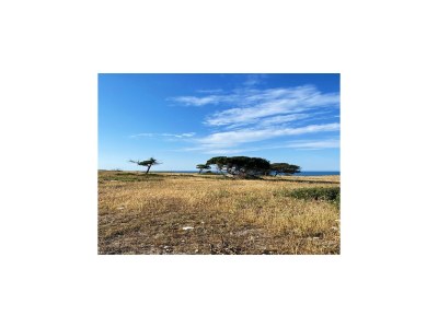 Apartment Wohnung im Gargano Park - Environment photo 32