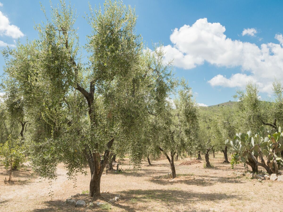 Apartment Amazing apartment in Vieste - Outdoor photo 5