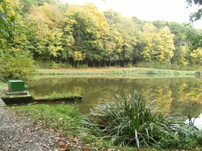 Apartment Amazing apartment in Vieste - Environment photo 34