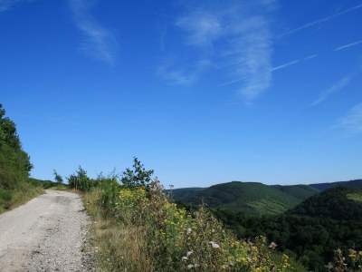 Holiday apartment Villa Weisgerber - Environment photo 18