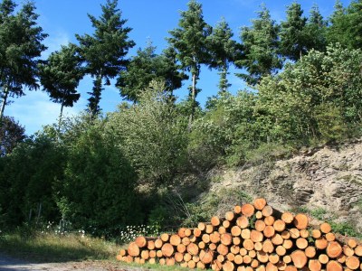 Holiday apartment Villa Weisgerber - Environment photo 19