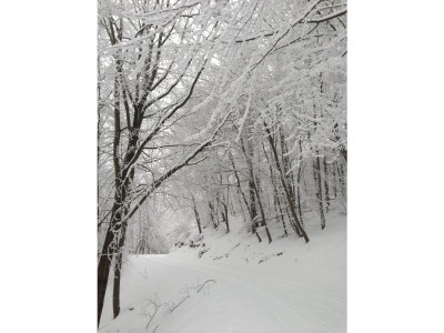 Holiday house Am Eichenberg - Environment photo 16