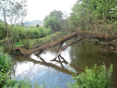 Holiday apartment Padberg family - Environment photo 13