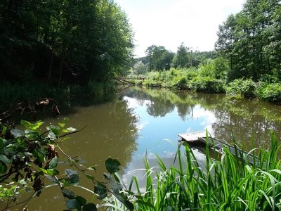 Holiday apartment Padberg family - Environment photo 14