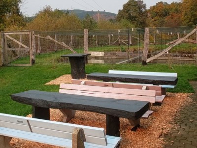 Holiday apartment Padberg family - Environment photo 20