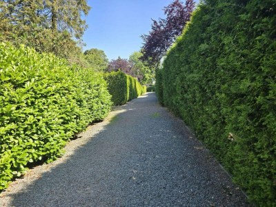 Holiday house Home in  the dancing forest - Environment photo 28